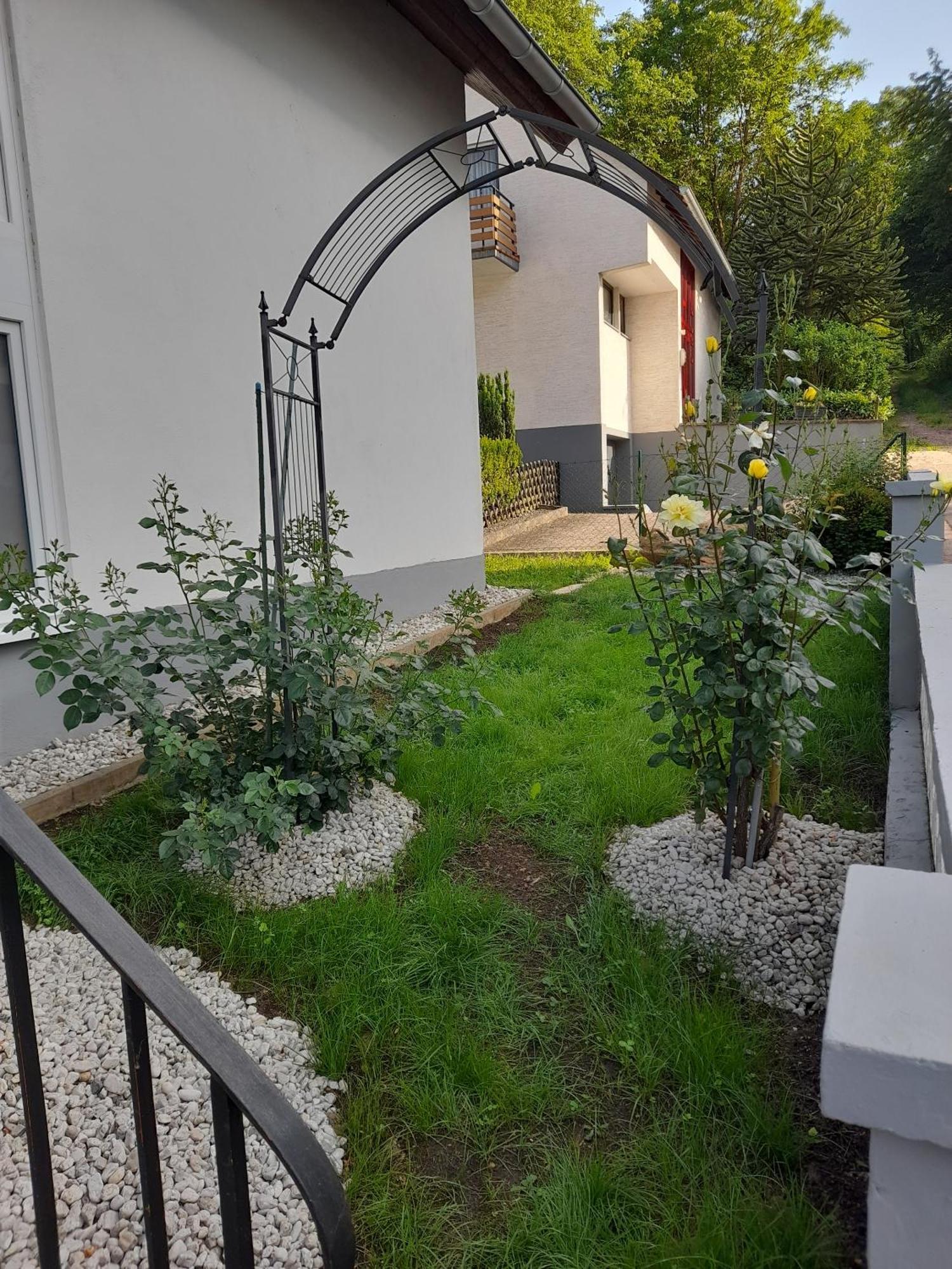 Gaestezimmer Bernkastel - Gaestehaus Barbara Екстериор снимка